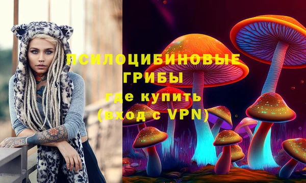 мдпв Балабаново