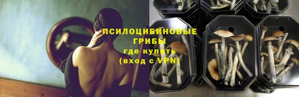 мдпв Балабаново